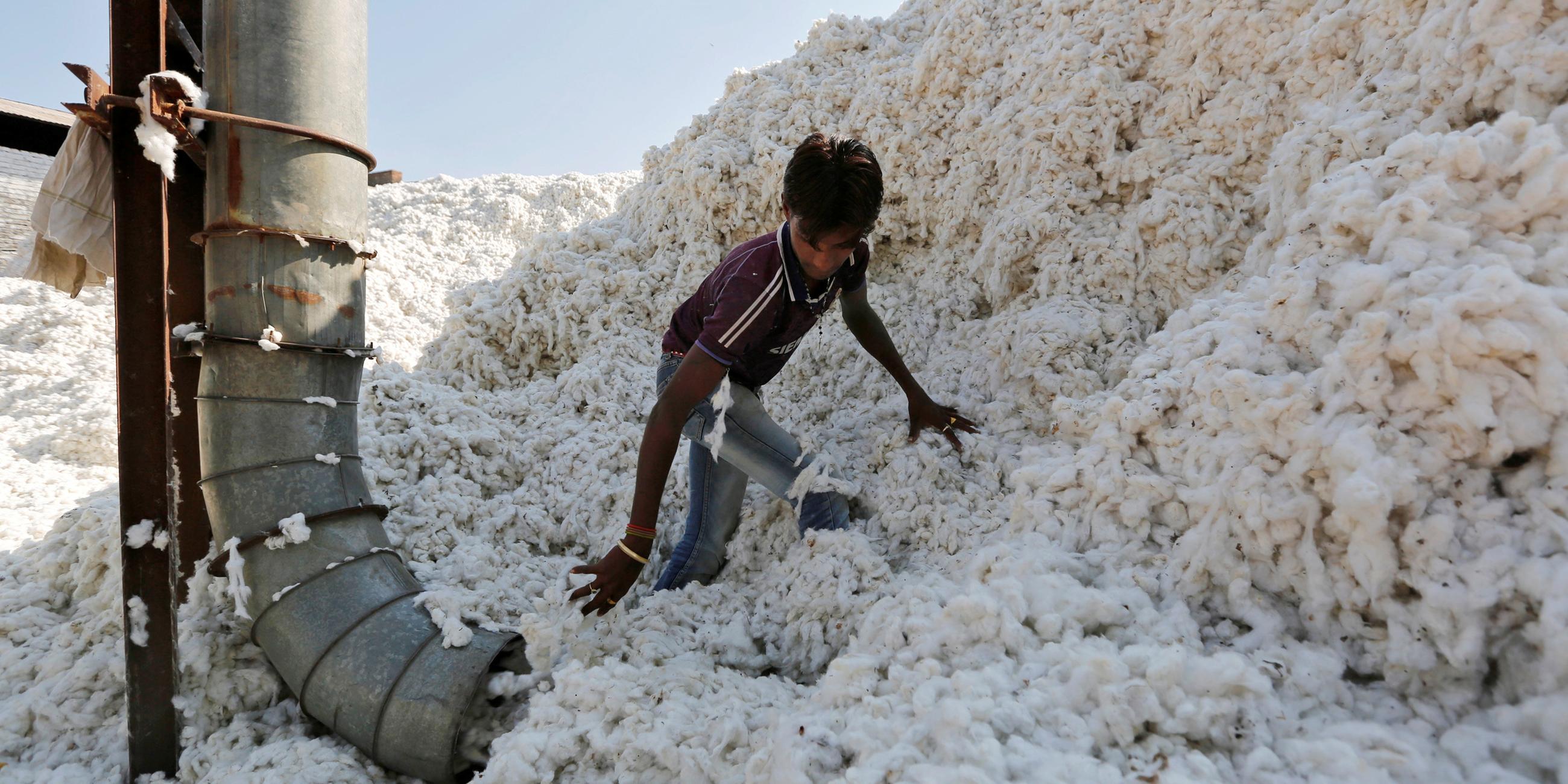 Ein Junge bei der Arbeit in der Baumwoll-Industrie in Indien am 31.03.2017.