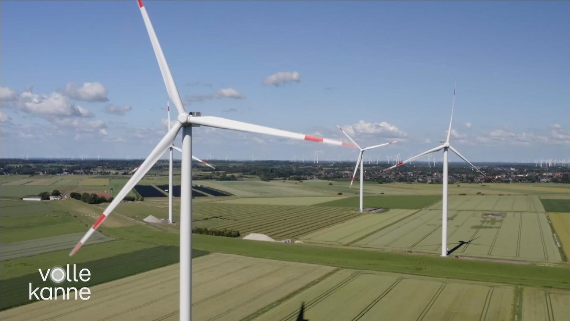 Windräder auf einem Feld