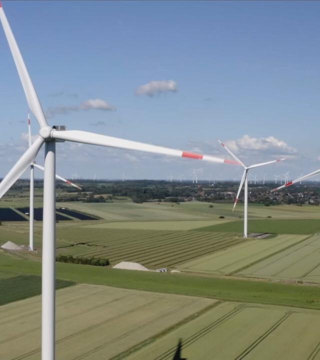 Windräder auf einem Feld