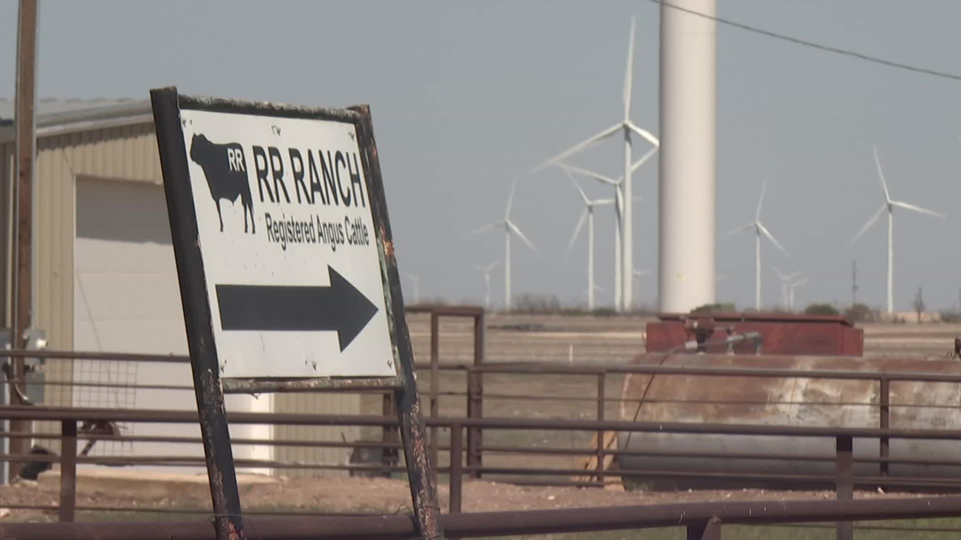 Im Vordergrund steht ein Rinder-Ranch-Schild und dahinter sind viele Windkrafträder