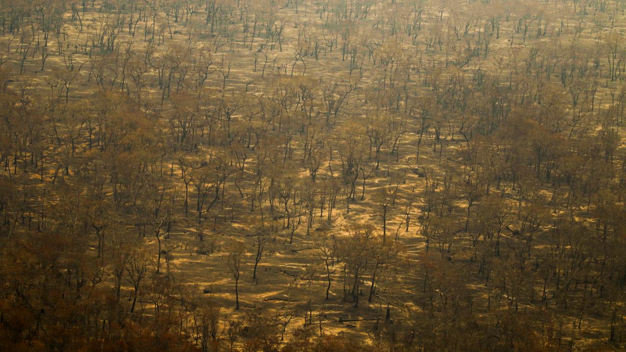 WMO-Bericht zu Klimawandel: "Alarmstufe Rot"