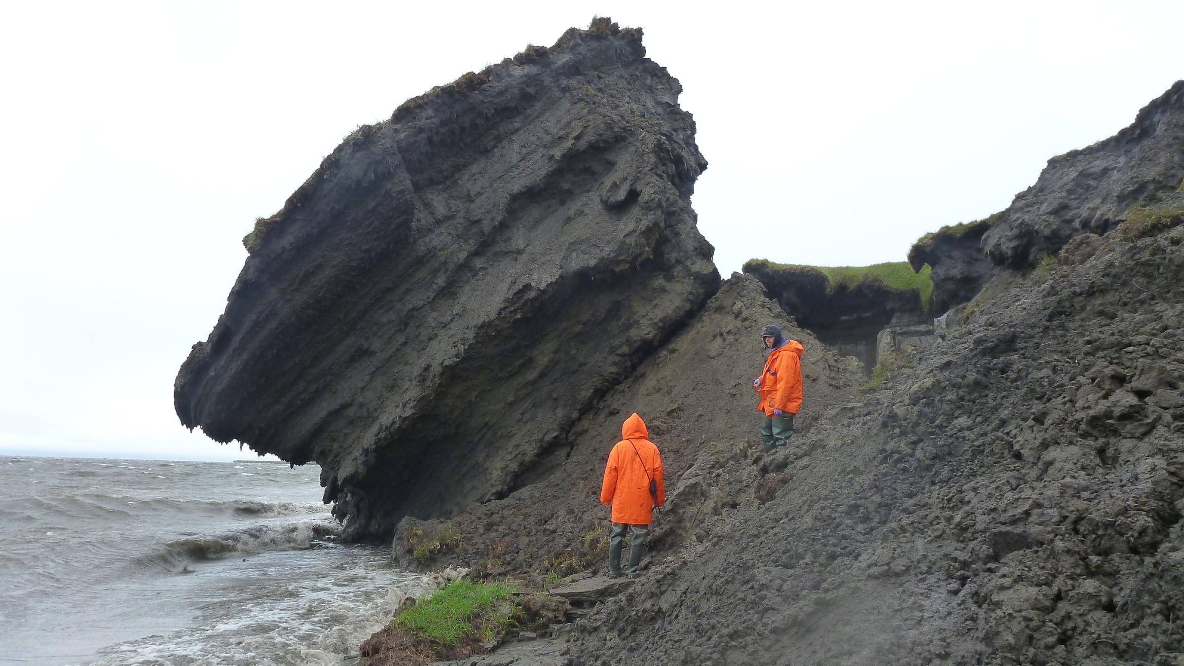 AWI-Permafrostexperten untersuchen die erodierende Küste  auf der sibirischen Insel Sobo-Sise im östlichen Lena-Delta