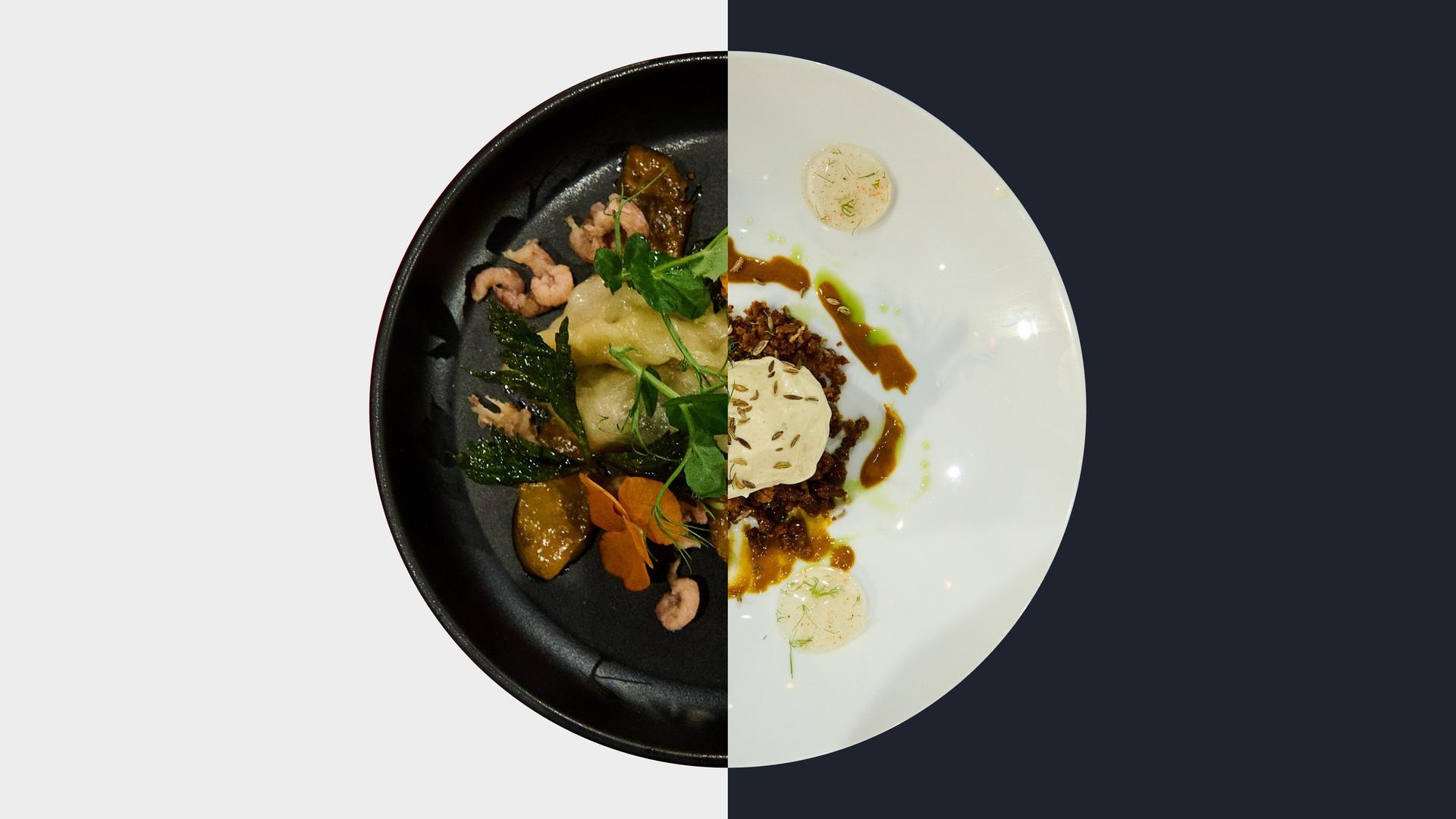 Knollensellerie vs. Fenchel