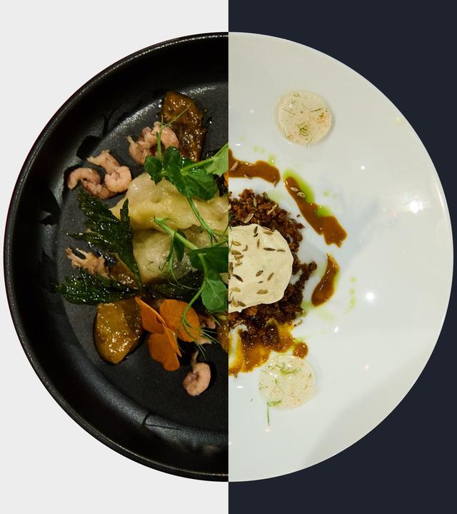 Knollensellerie vs. Fenchel