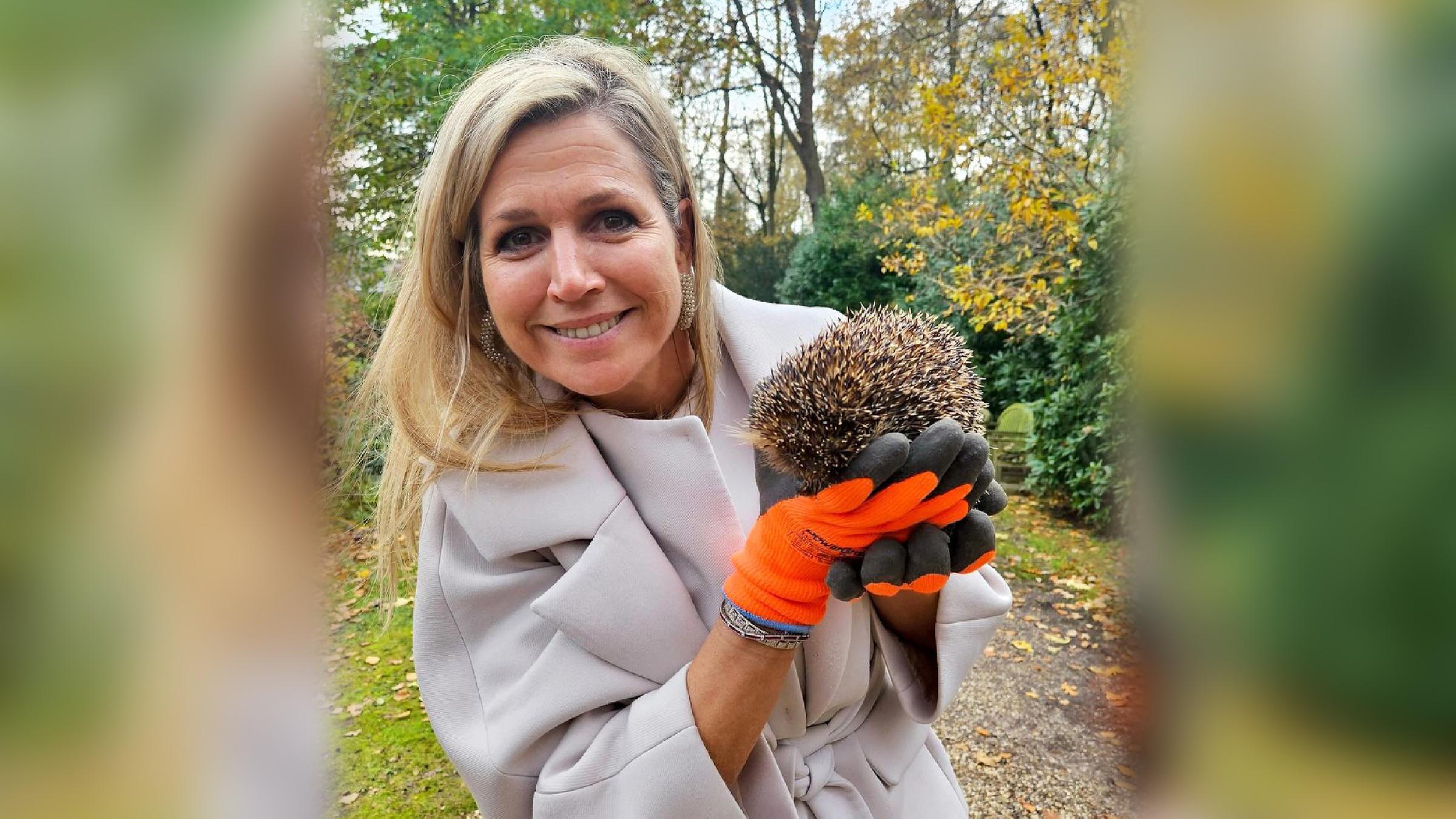 Die niederländische Königin mit einem Igel in der Hand.