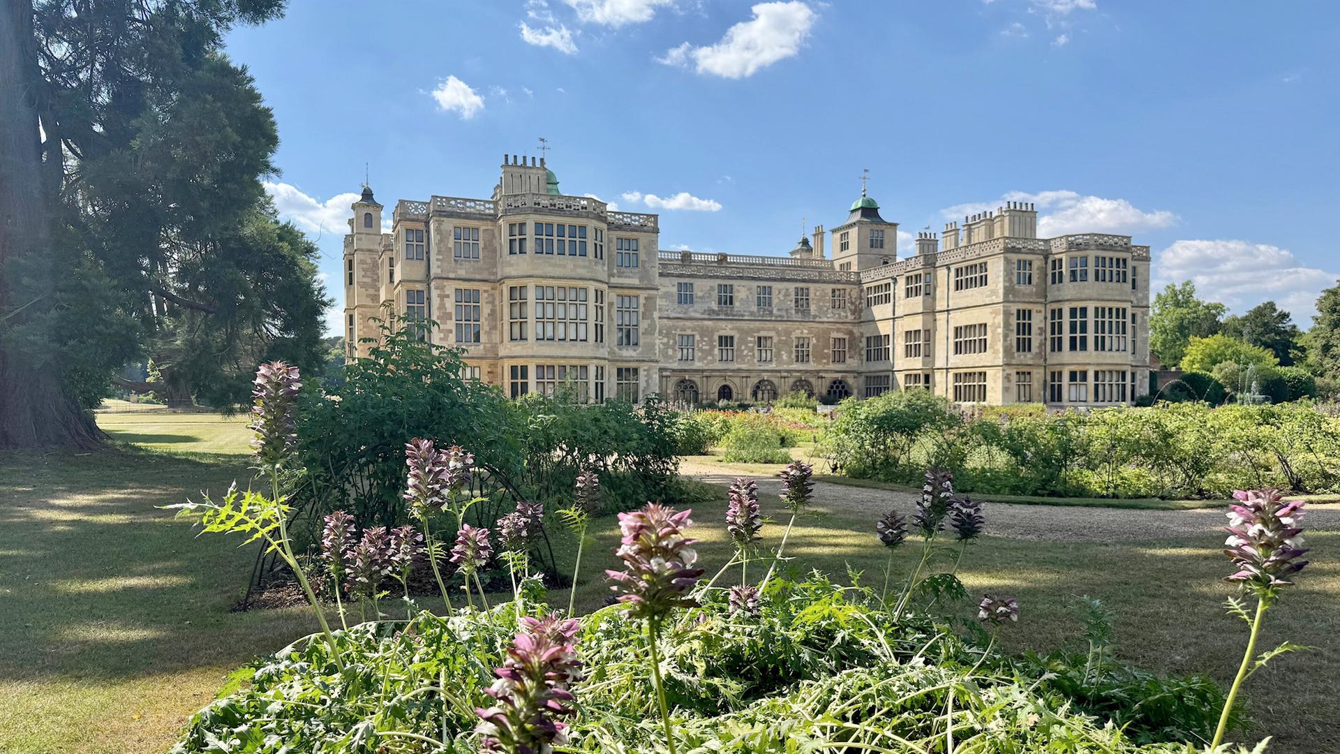 Das Bild zeigt das Audley End House, einen der bedeutendsten Landsitze Englands. Die Architektur des Hauses ist im neoklassizistischen Stil gehalten und umfasst zahlreiche Fenster, die von hellen Steinmauern umgeben sind. Der Vordergrund des Bildes ist mit üppigem, grünem Pflanzenbewuchs sowie lila blühenden Pflanzen bevölkert.   Im Hintergrund sieht man das großflächige Gebäude, das sich harmonisch in die umgebende Gartenlandschaft einfügt. Über dem Haus ist ein klarer, blauer Himmel mit einigen wenigen weißen Wolken sichtbar. Die Szenerie vermittelt ein Gefühl von Ruhe und historischen Charme, umgeben von weitläufigen Grünflächen und Bäumen.