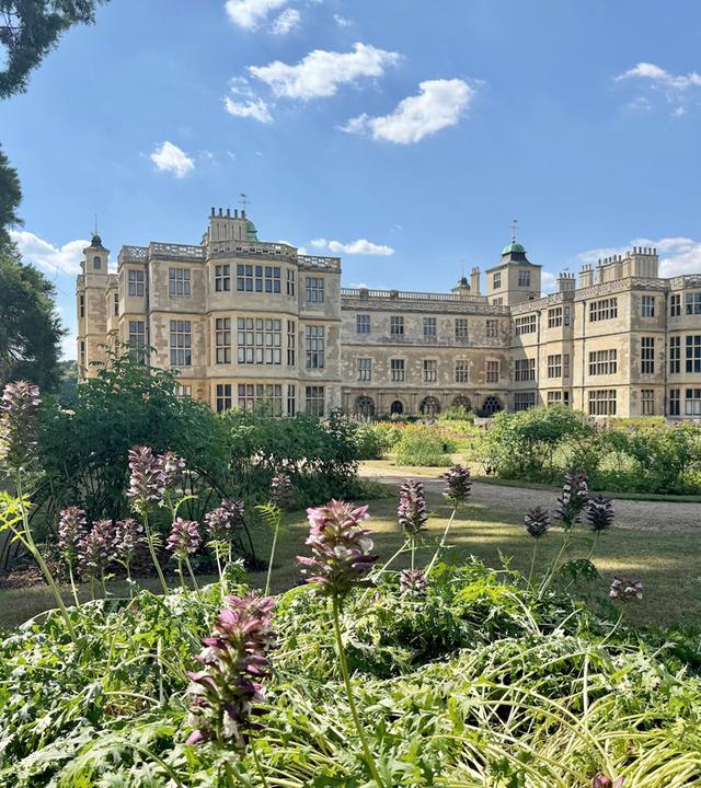 Das Bild zeigt das Audley End House, einen der bedeutendsten Landsitze Englands. Die Architektur des Hauses ist im neoklassizistischen Stil gehalten und umfasst zahlreiche Fenster, die von hellen Steinmauern umgeben sind. Der Vordergrund des Bildes ist mit üppigem, grünem Pflanzenbewuchs sowie lila blühenden Pflanzen bevölkert.   Im Hintergrund sieht man das großflächige Gebäude, das sich harmonisch in die umgebende Gartenlandschaft einfügt. Über dem Haus ist ein klarer, blauer Himmel mit einigen wenigen weißen Wolken sichtbar. Die Szenerie vermittelt ein Gefühl von Ruhe und historischen Charme, umgeben von weitläufigen Grünflächen und Bäumen.