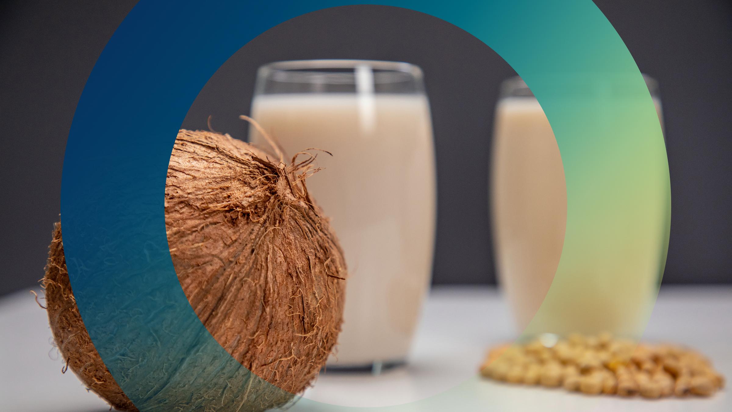 Kokosnuss und Milchersatzprodukte