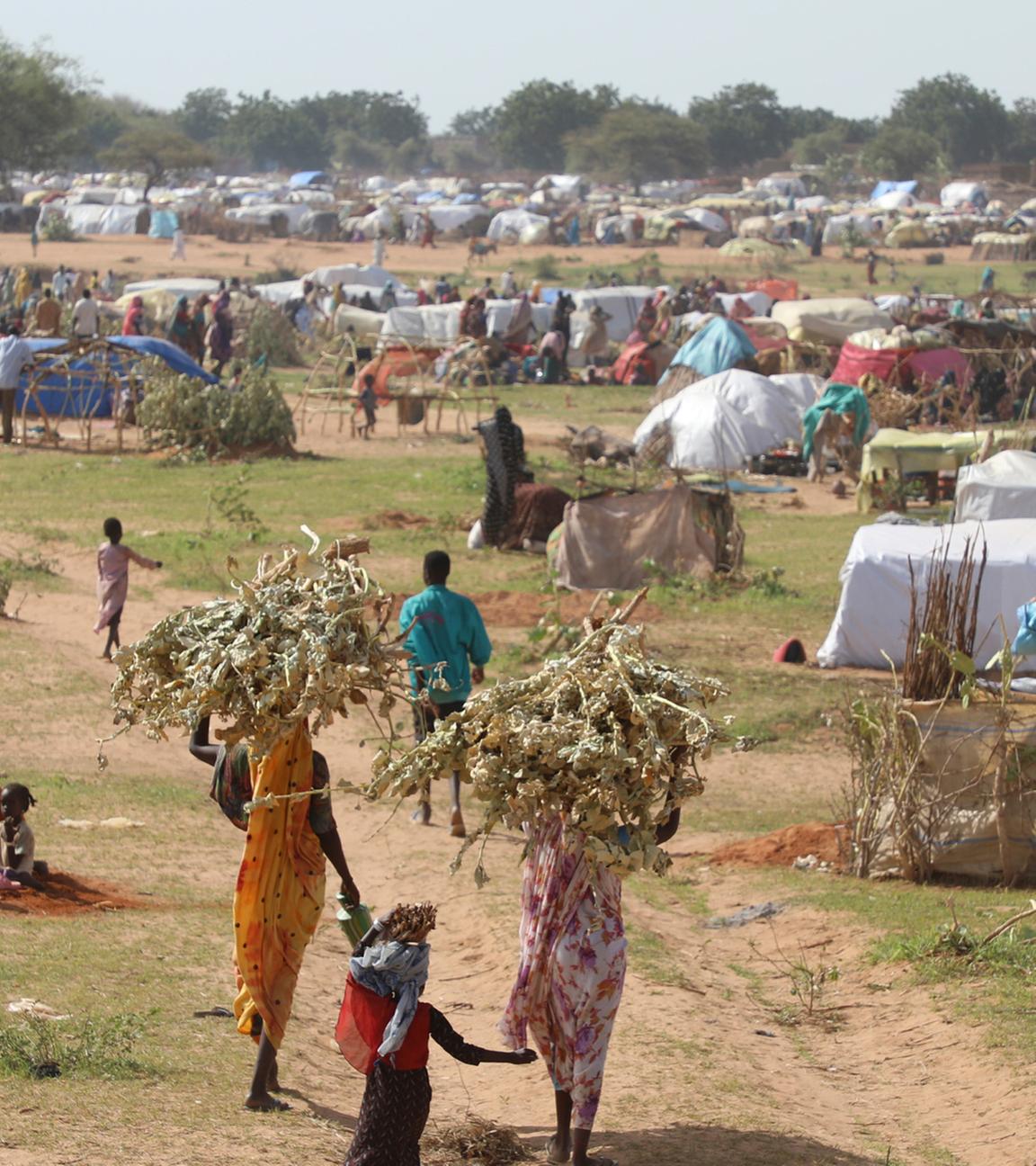 Sudanesische Flüchtlinge, die vor dem Konflikt im Sudan geflohen sind am 01.07.2023 im Flüchtlingslager Zabout in Goz Beida, Tschad.