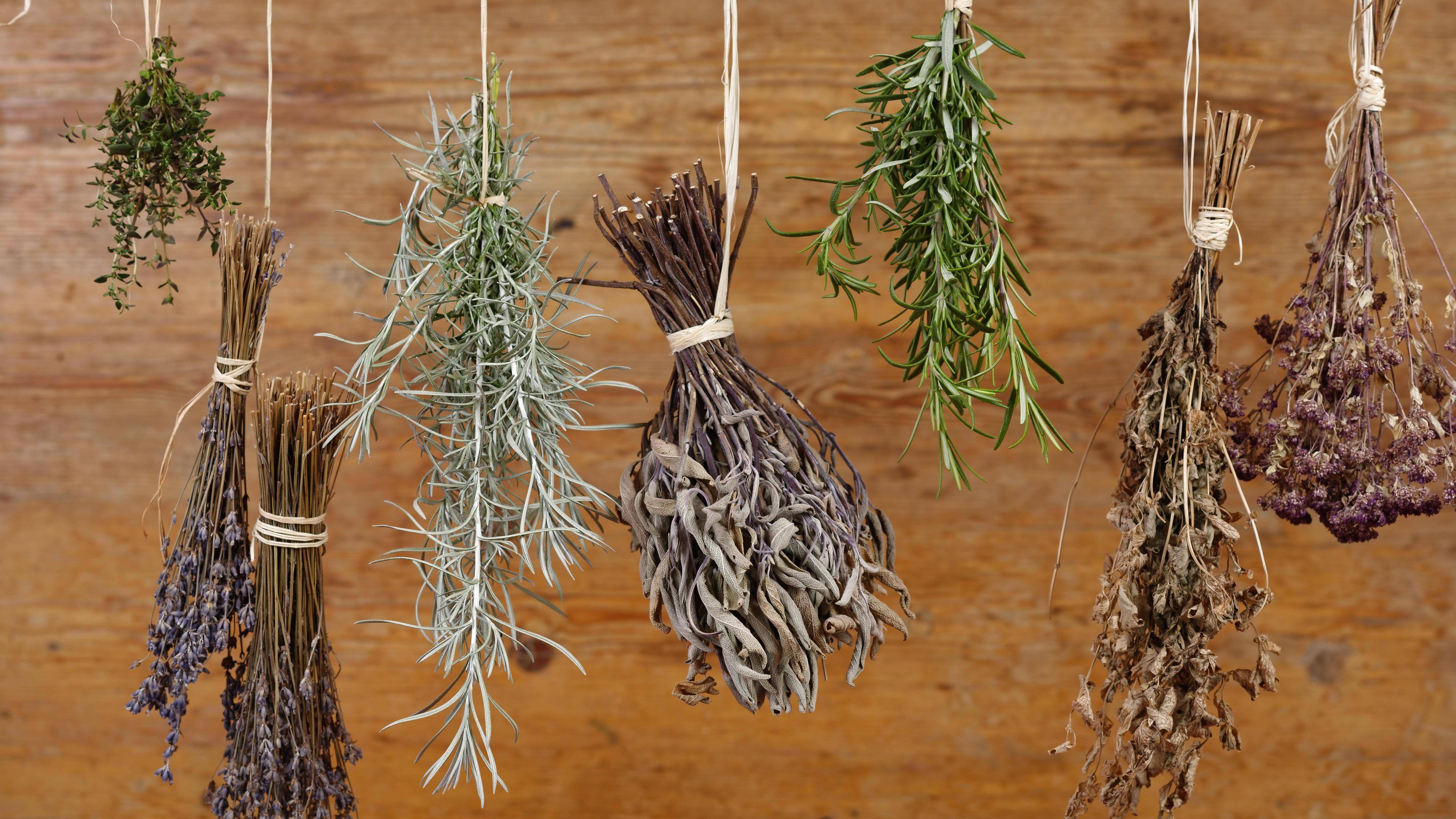 Dried herbs. Kekik трава. Тимьян майоран. Пучок травы на веревке. Dried herbs.