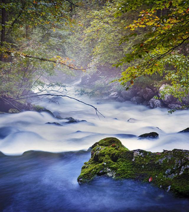 ein reißendes Gebirgsbächchen von Wald umrahmt