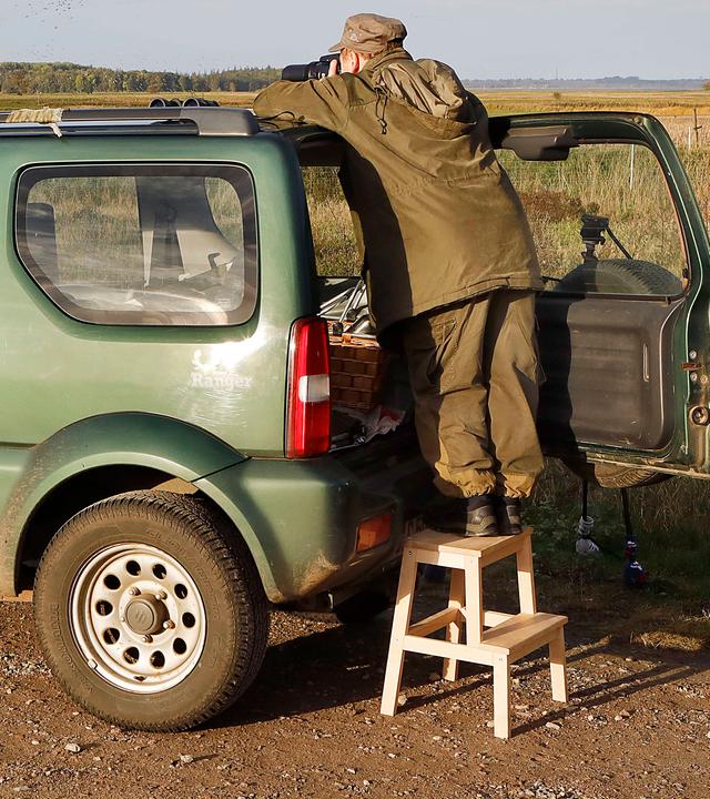 Ein Kranich-Ranger lehnt an seinem Auto und beobachtet die Kraniche.