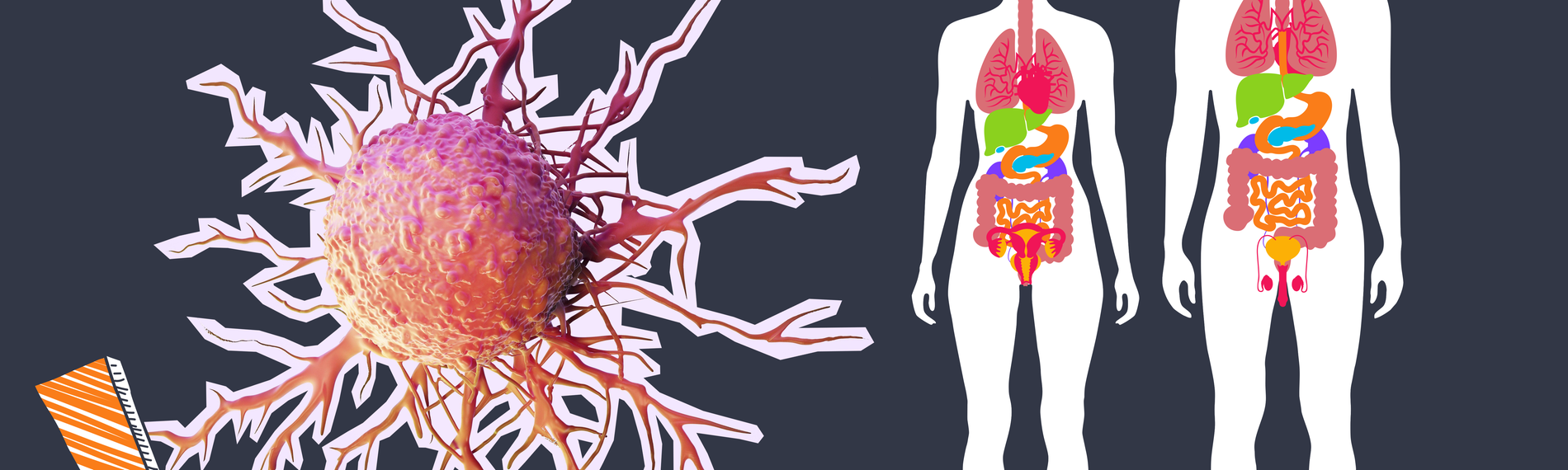 Grafik von eienr Krebszelle und zwei menschlichen Körpern und ein Ausrufezeichen