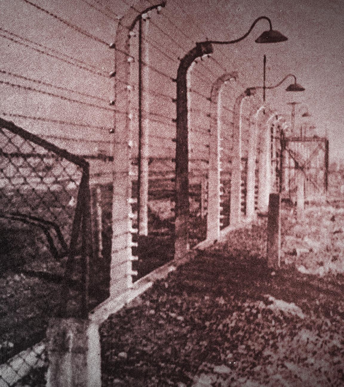 "Krieg und Holocaust - Der deutsche Abgrund: Tor zur Hölle 1941-1942": Schwarz-Weiß-Aufnahme einer Zaunanlage des Vernichtungslagers Auschwitz.