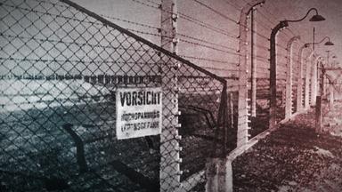 Zdfinfo - Krieg Und Holocaust - Der Deutsche Abgrund: Tor Zur Hölle