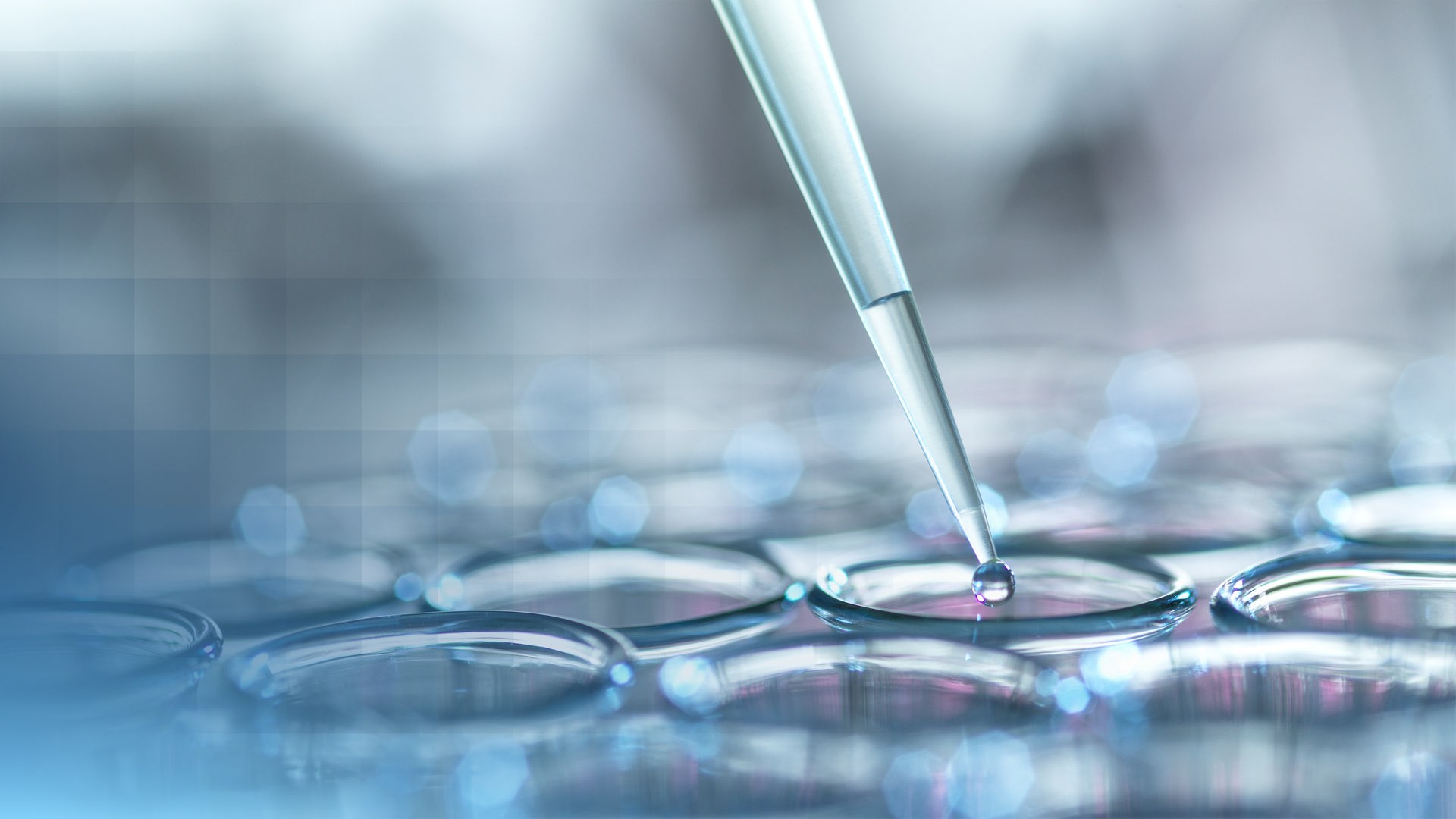Eine Pipette tropft einen Tropfen durchsichtige Flüssigkeit in eins der vielen Reagenzgläser