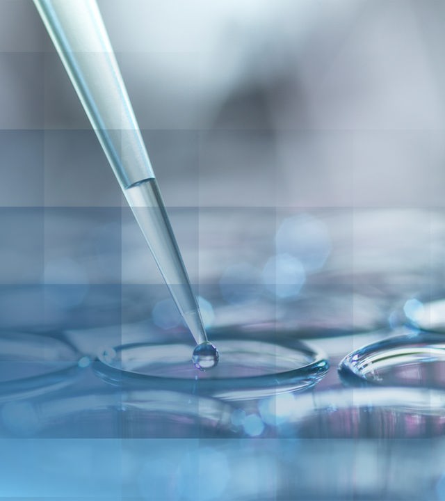 Eine Pipette tropft einen Tropfen durchsichtige Flüssigkeit in eins der vielen Reagenzgläser