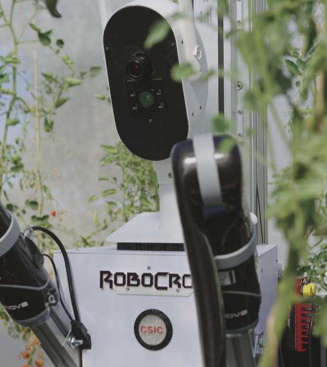 Künstliche Intelligenz in der Landwirtschaft