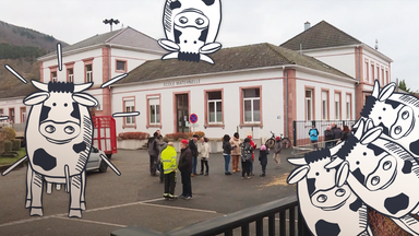 Bild des Herkunftsvideos in der ZDF Mediathek