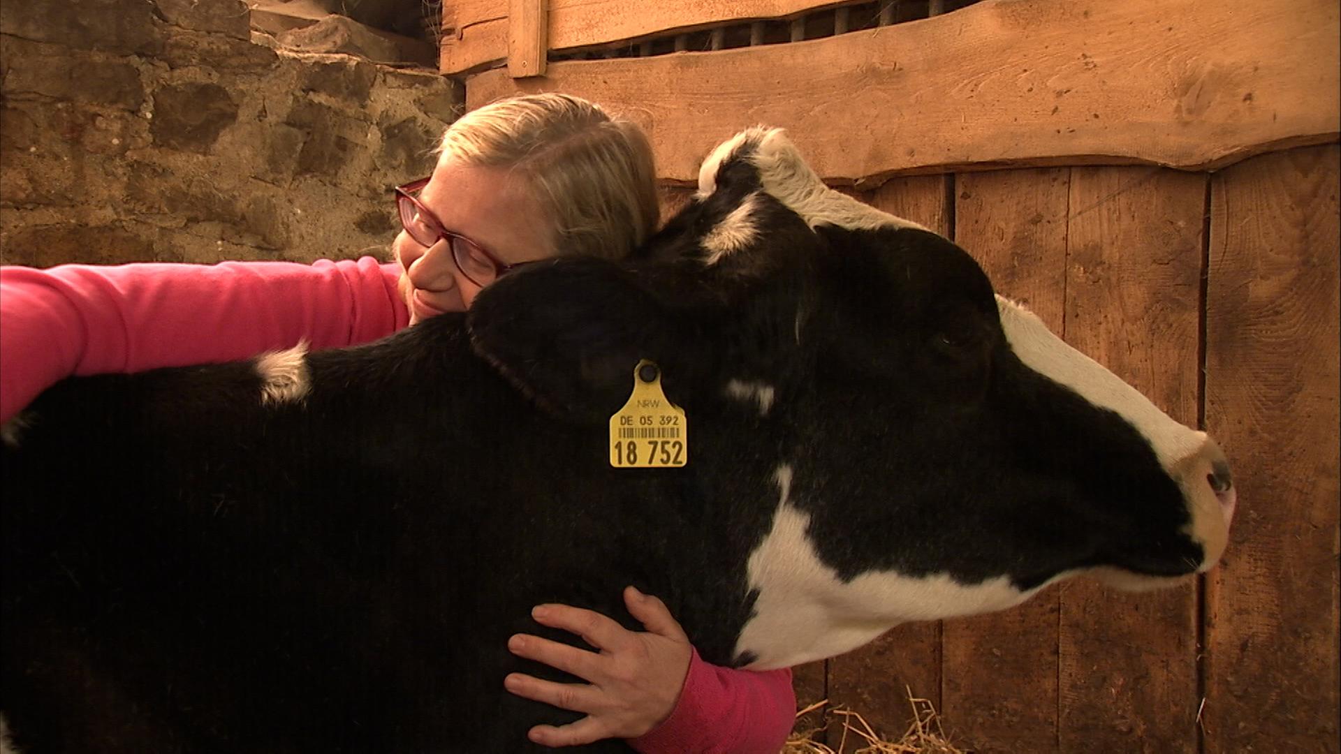 Eine Frau kuschelt in einem Stall mit einer Kuh