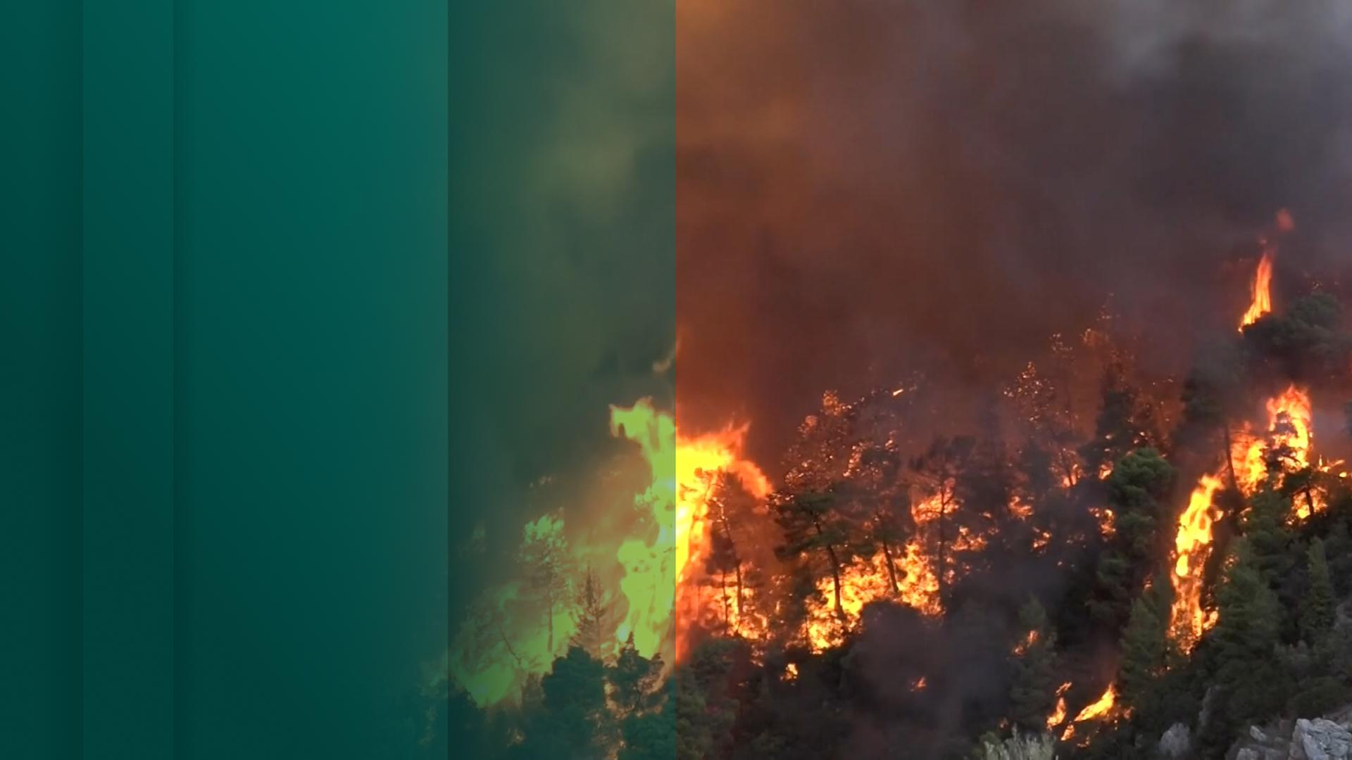Waldbrand in Deutschland