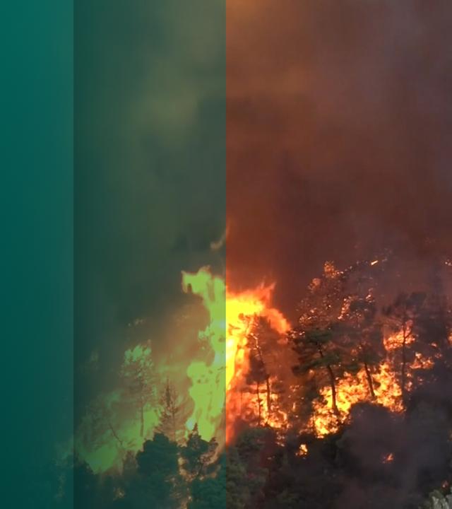 Waldbrand in Deutschland