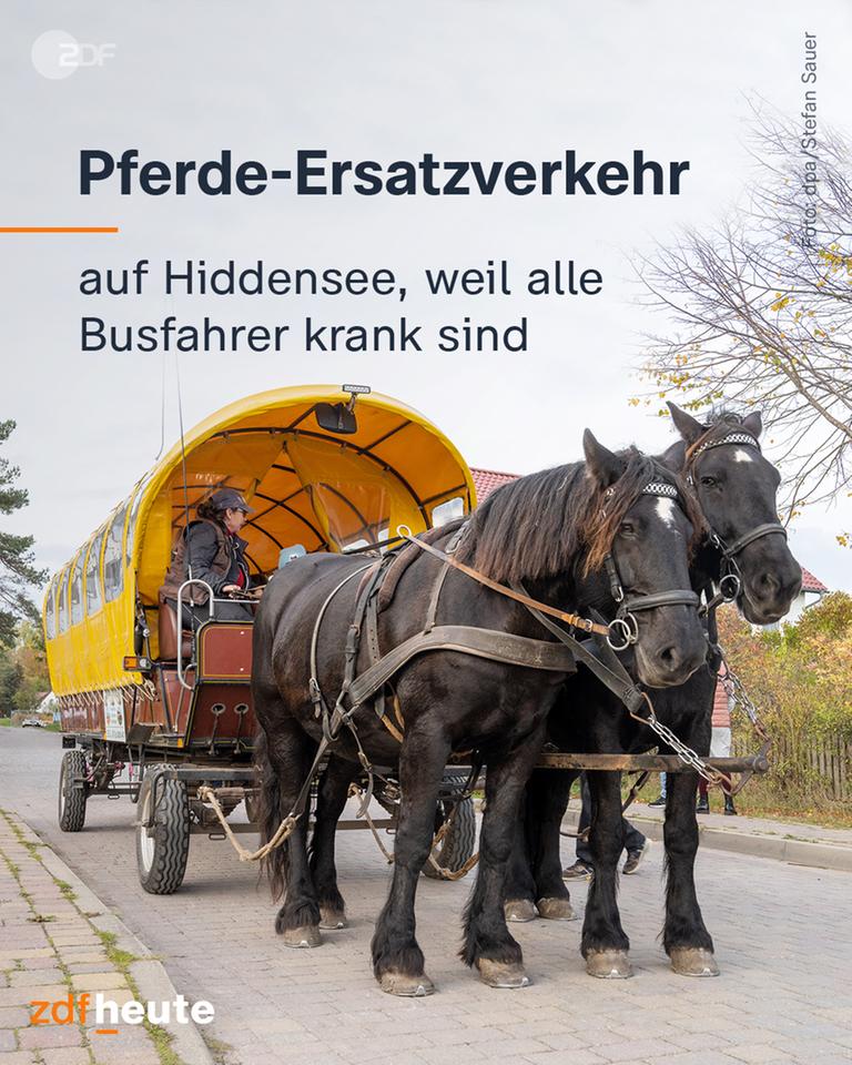 Pferde-Ersatzverkehr