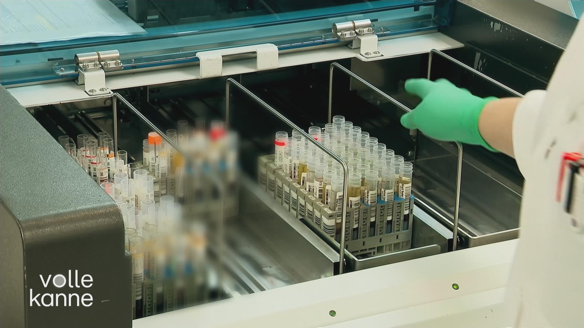 Laborwerte richtig lesen