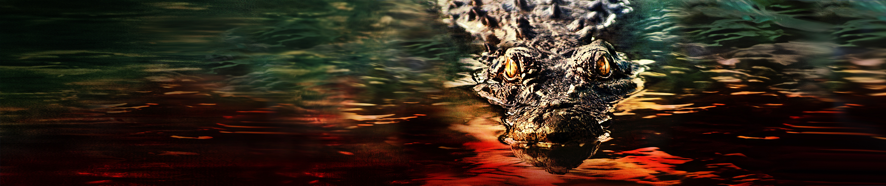 Plakatmotiv zum Film mit Krokodil im Wasser.