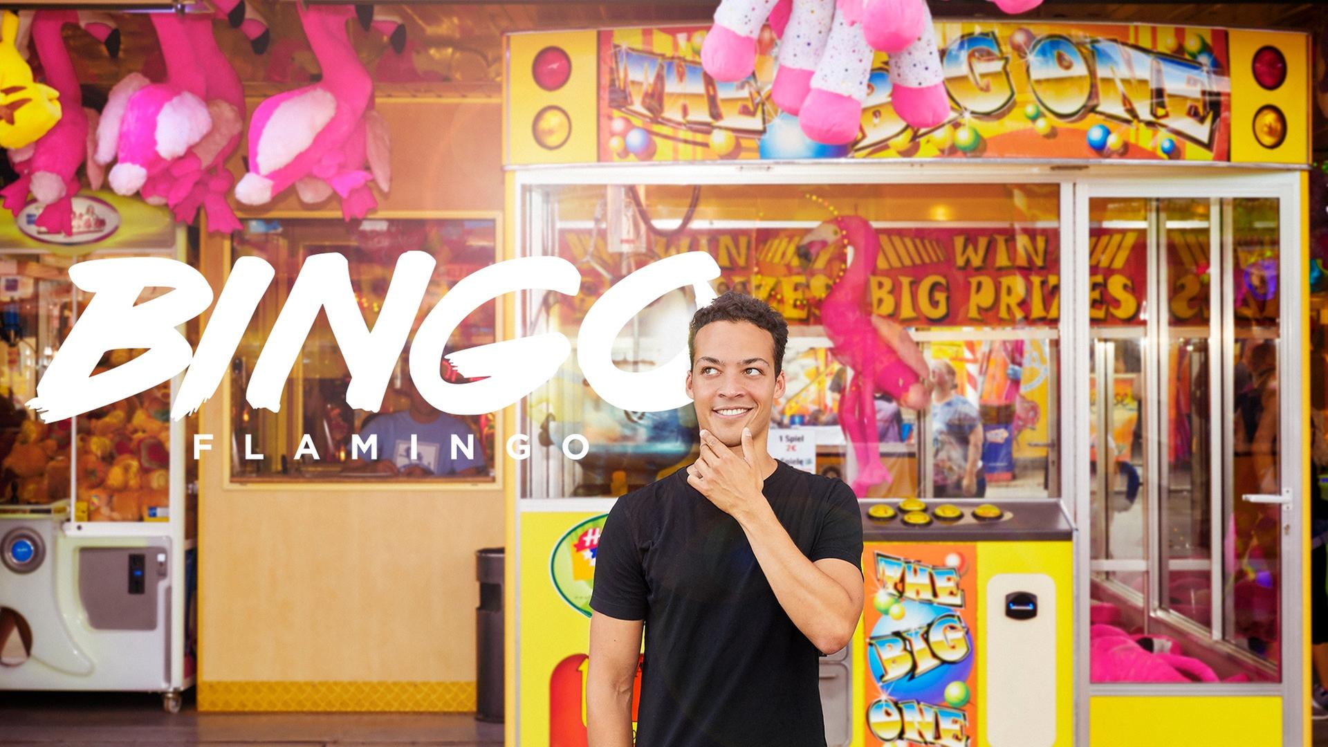 Bingo Flamingo