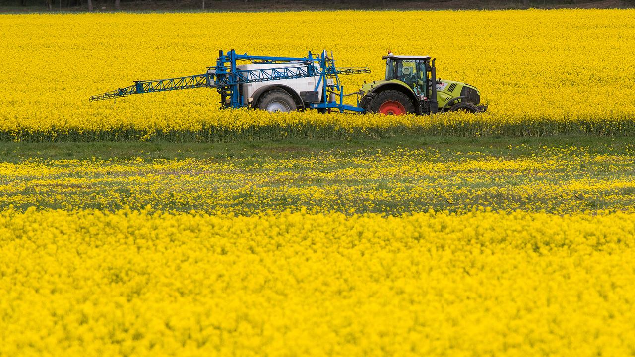 Pestizide: FDP widerspricht Grünen-Ministerin