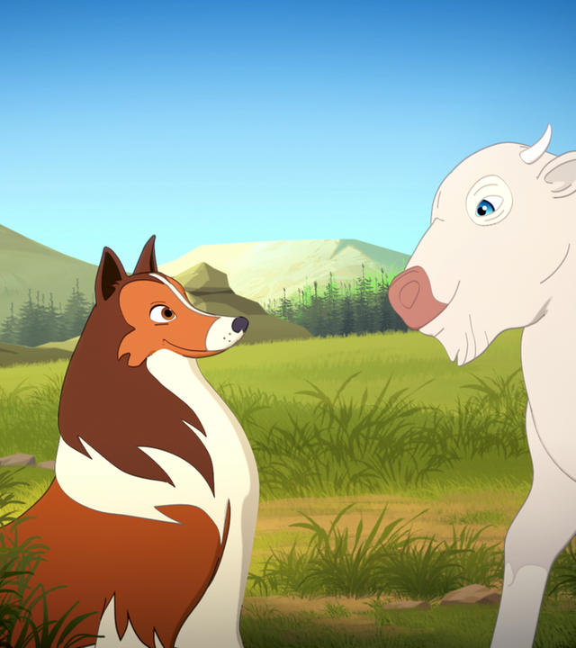 In einer Wiesenlandschaft sitzt Lassie auf dem Boden, das weiße Kalb steht vor ihr. Die beiden schauen sich freundlich an.