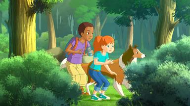 Lassie, Zoé und Harvey verstecken sich in den Büschen und blicken gespannt heraus.