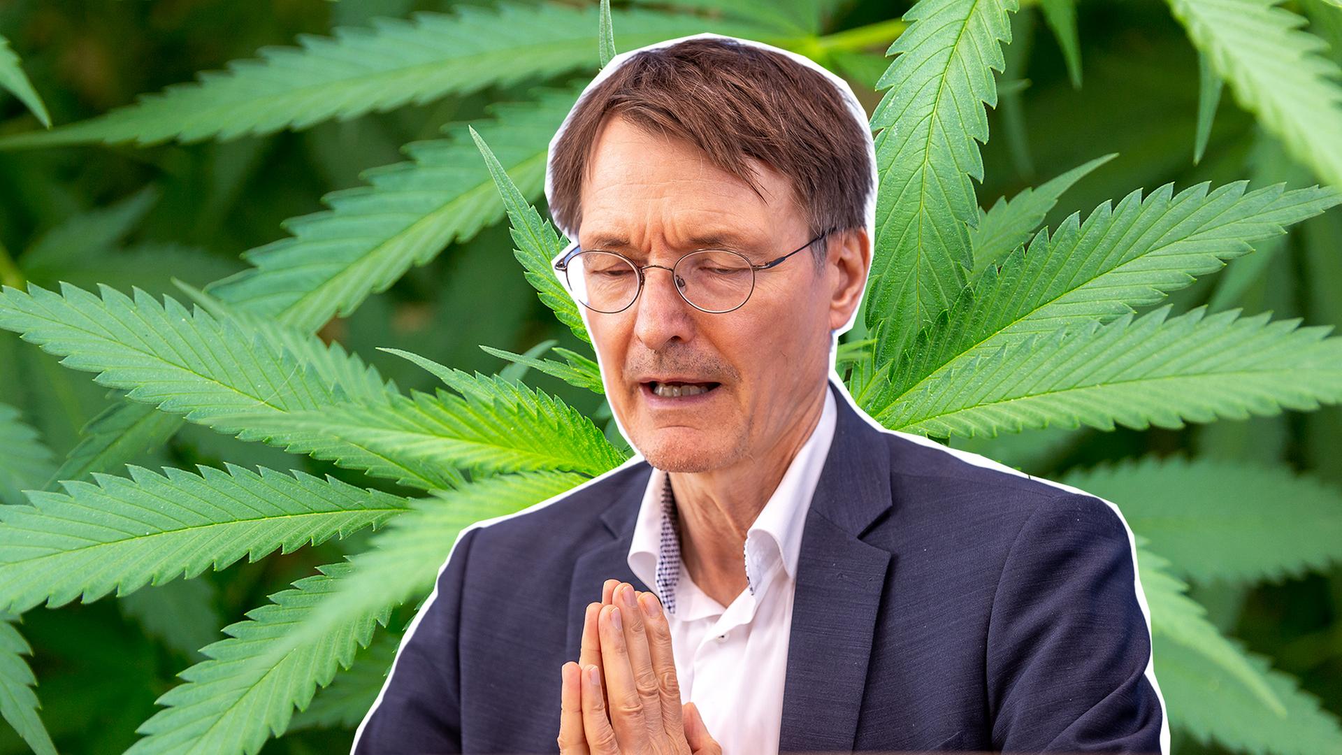 Gesundheitsminister Karl Lauterbach vor Cannabispflanzen-Hintergrund