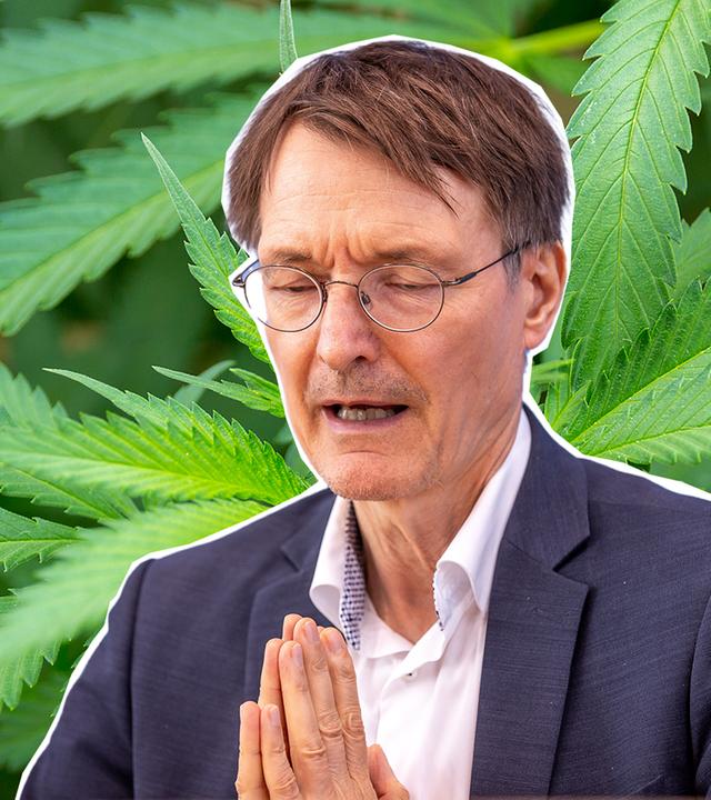 Gesundheitsminister Karl Lauterbach vor Cannabispflanzen-Hintergrund