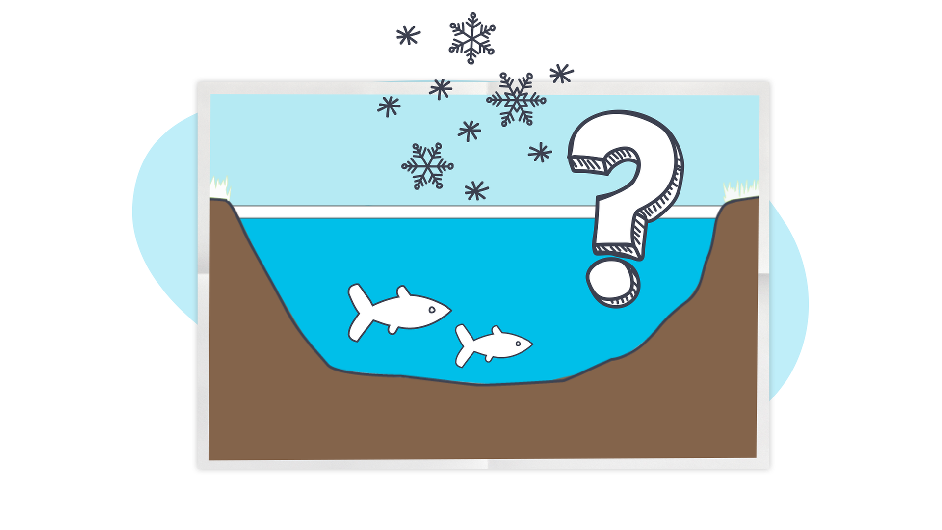 Bild für Leben unter dem Eis - so überleben Tiere