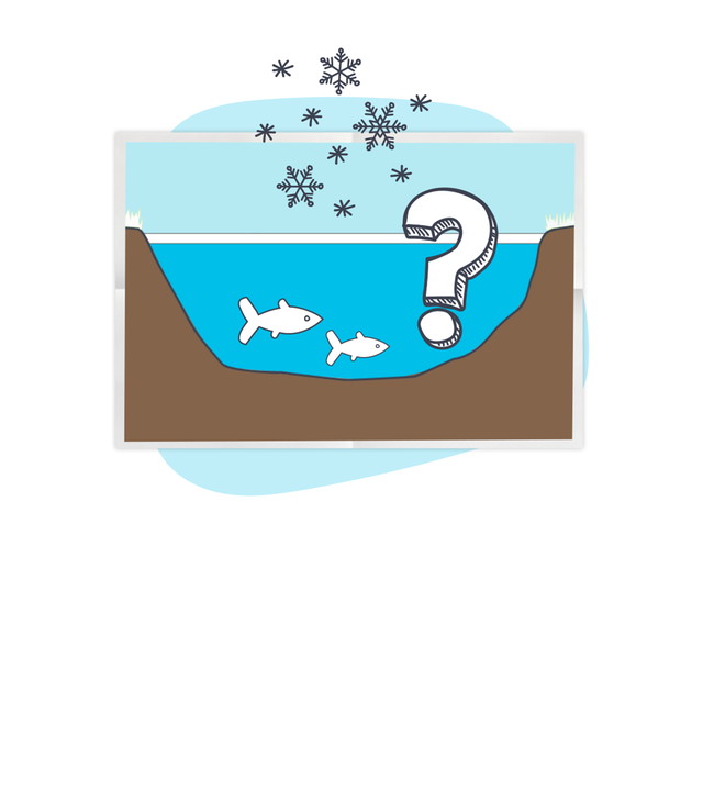 Grafik: Fische schwimmen unter gefrorener Eisdecke, daneben Fragezeichen
