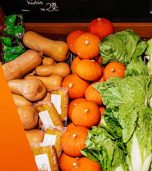 Viele verschiedene herbstliche Gemüsesorten