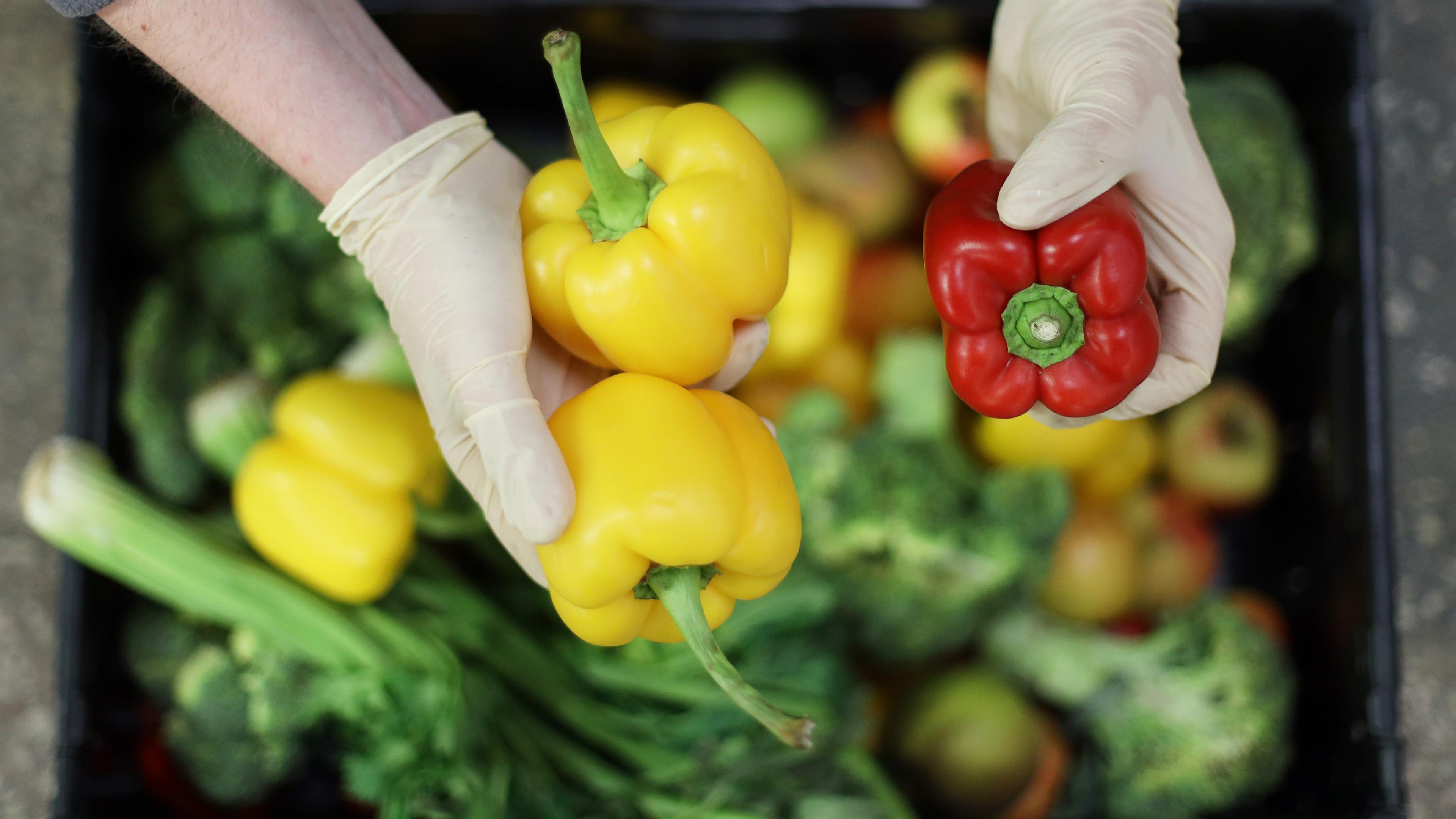Symbolbild Lebensmittelverteilung: Hände mit Handschuhen sortieren Gemüse