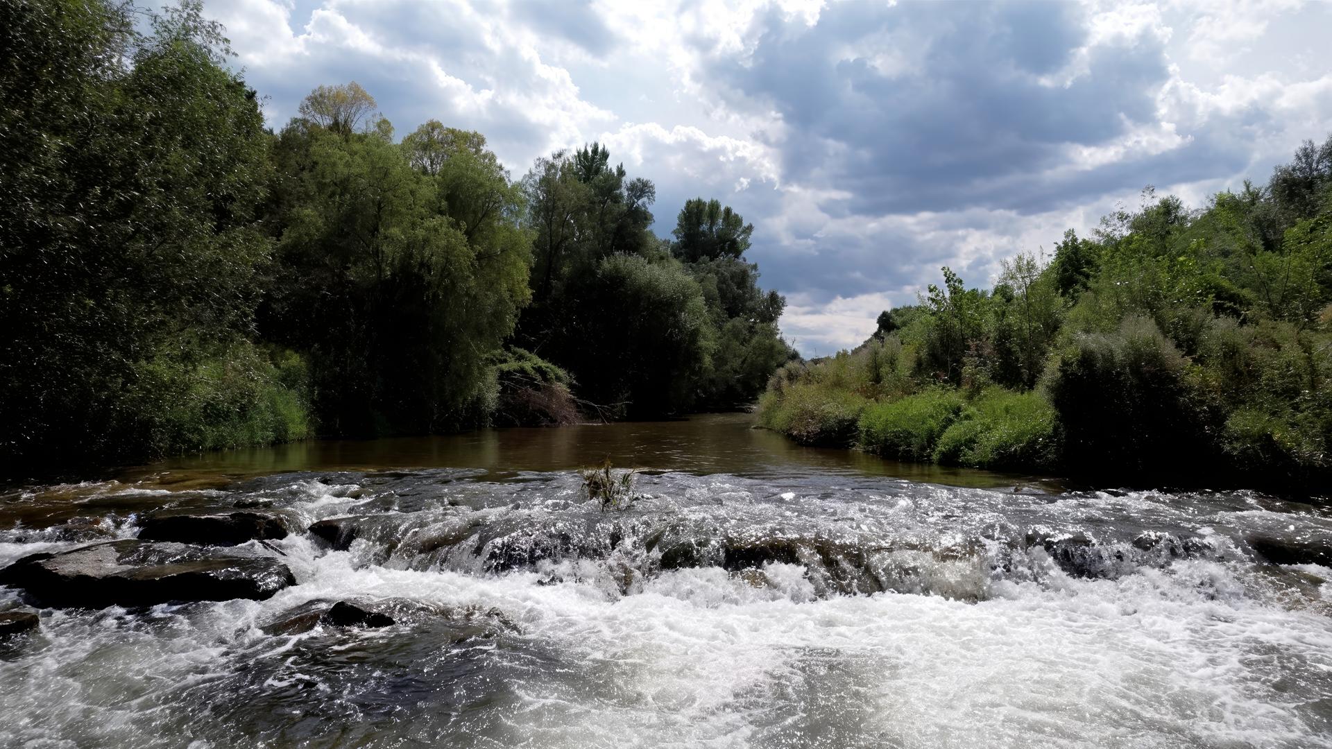 Das Bild zeigt einen Fluss, höchstwahrscheinlich die Leitha, die durch eine naturnahe Landschaft mit vielen Bäumen und Sträuchern fließt. Im Vordergrund ist eine fließende Wasserstelle zu sehen, wo das Wasser über große, glatte Steine plätschert. Der Fluss selbst ist von ufernahen Pflanzen umgeben, die üppig und grün sind.   Der Himmel ist mit zahlreichen Wolken bedeckt, die in verschiedenen Grautönen erscheinen, während einige hellere Stellen zwischen den Wolken hindurchscheinen. Im Hintergrund sind Bäume zu erkennen, die in unterschiedlichen Höhen stehen und eine dichte, grüne Waldkante bilden.   Die gesamte Szenerie vermittelt ein ruhiges und natürliches Gefühl, während das Wasser in sanften Wellen über die Steine fließt. Diese Landschaft könnte Teil einer historischen oder kulturellen Region in Österreich sein, die von der Geschichte des Flusses geprägt ist.