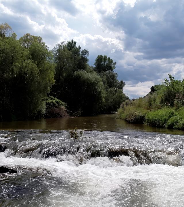 Das Bild zeigt einen Fluss, höchstwahrscheinlich die Leitha, die durch eine naturnahe Landschaft mit vielen Bäumen und Sträuchern fließt. Im Vordergrund ist eine fließende Wasserstelle zu sehen, wo das Wasser über große, glatte Steine plätschert. Der Fluss selbst ist von ufernahen Pflanzen umgeben, die üppig und grün sind.   Der Himmel ist mit zahlreichen Wolken bedeckt, die in verschiedenen Grautönen erscheinen, während einige hellere Stellen zwischen den Wolken hindurchscheinen. Im Hintergrund sind Bäume zu erkennen, die in unterschiedlichen Höhen stehen und eine dichte, grüne Waldkante bilden.   Die gesamte Szenerie vermittelt ein ruhiges und natürliches Gefühl, während das Wasser in sanften Wellen über die Steine fließt. Diese Landschaft könnte Teil einer historischen oder kulturellen Region in Österreich sein, die von der Geschichte des Flusses geprägt ist.
