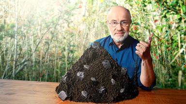 Pyrolyse: Kann Pflanzenkohle wirklich CO2 aus der Luft holen?