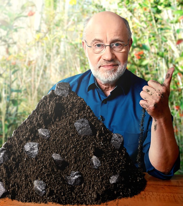 Harald Lesch mit Pflanzenkohle