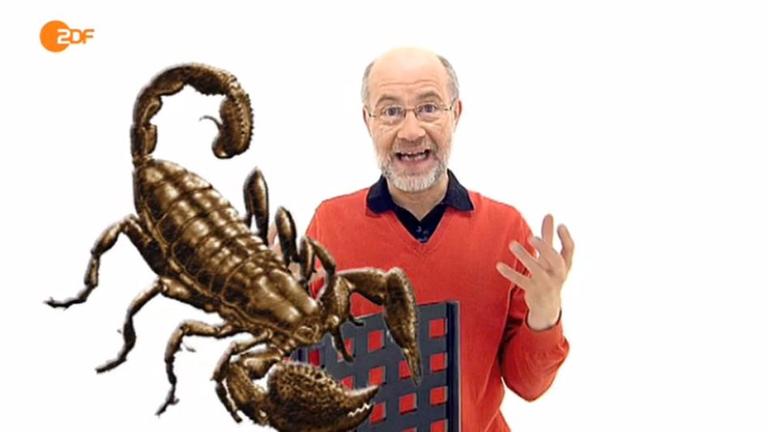 Lesch und das Rieseninsekt