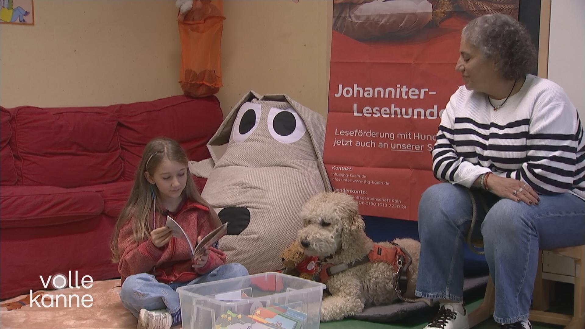 Ein Mädchen übt das Vorlesen mit einem Lesehund.