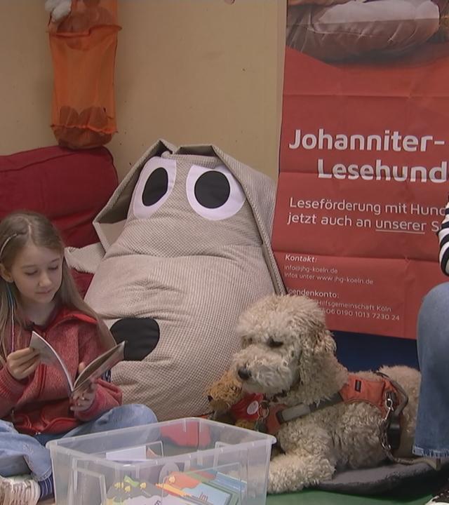 Ein Mädchen übt das Vorlesen mit einem Lesehund.