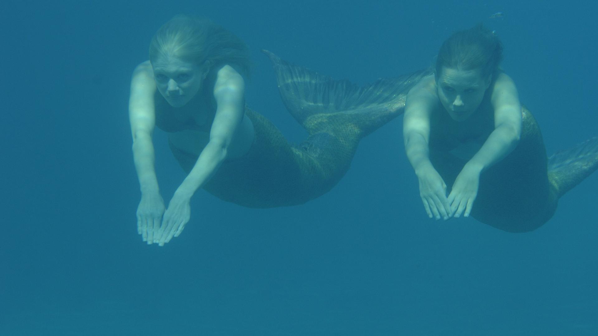 Rikki und Emma schwimmen durch den Ozean.