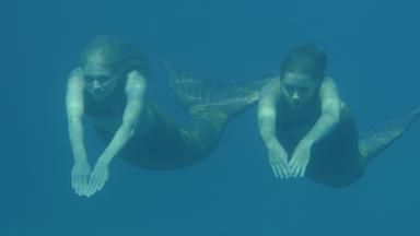 H2o - Plötzlich Meerjungfrau - H2o - Plötzlich Meerjungfrau: Lewis Unter Verdacht