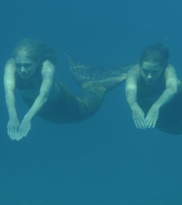 Rikki und Emma schwimmen durch den Ozean.