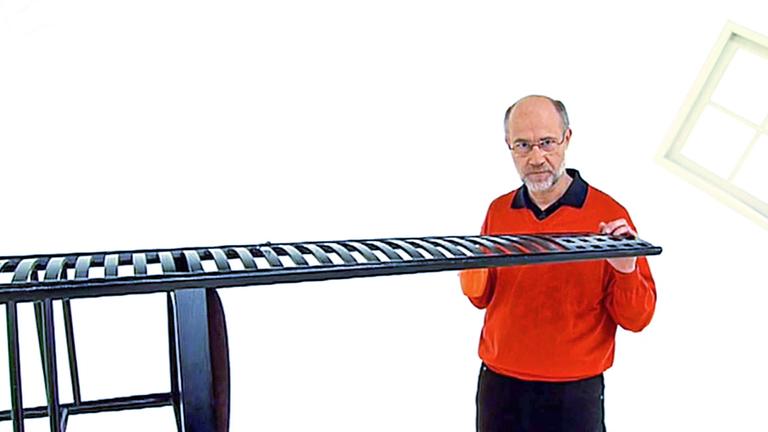 Professor Harald Lesch